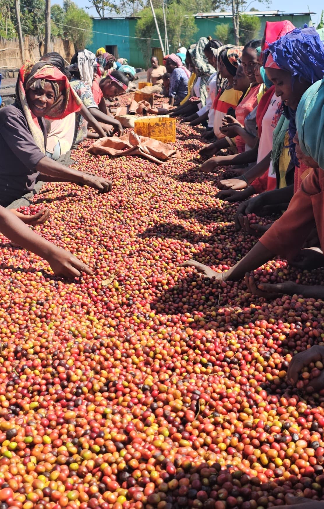 Coffee Culture Image 4