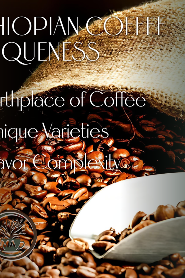 Ethiopian Specialty Roasted Coffee-5 lb - Image 3